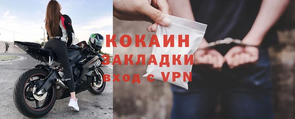 PSILOCYBIN Кукмор