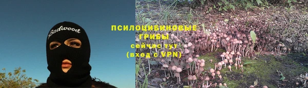 apvp Ладушкин