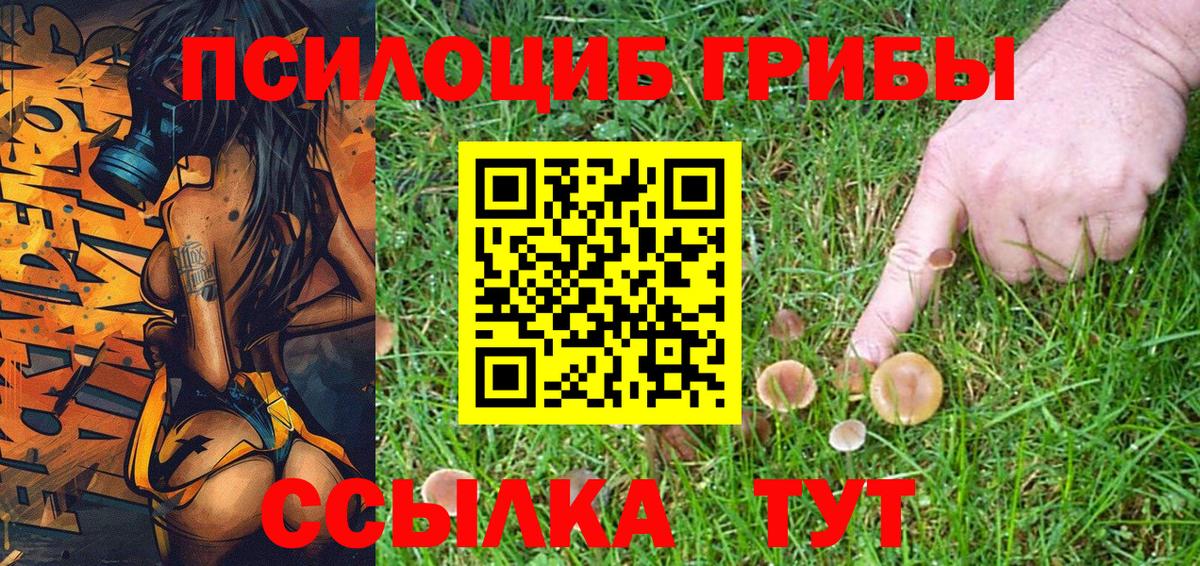 Галлюциногенные грибы MAGIC MUSHROOMS Лабытнанги