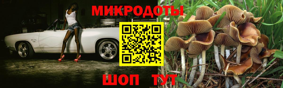 Галлюциногенные грибы Psilocybine cubensis  Вход с VPN  как найти закладки  Лабытнанги  Псилоцибиновые грибы прущие грибы 
